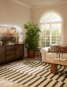 Tieran Handwoven Wool-Blend Rug trendy fashion rug
