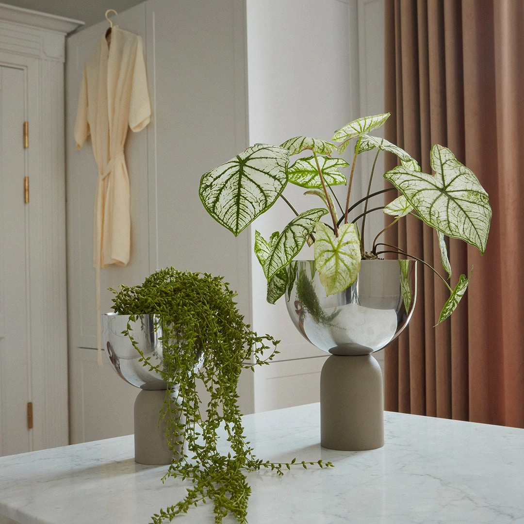 Torus Flowerpot - Large (Order Quantity: 2)