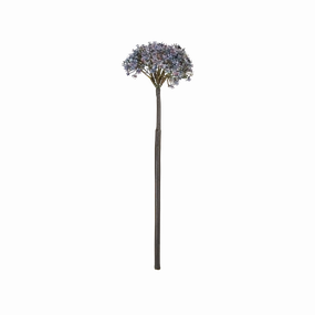 Trachelium Stem elegant wall decor