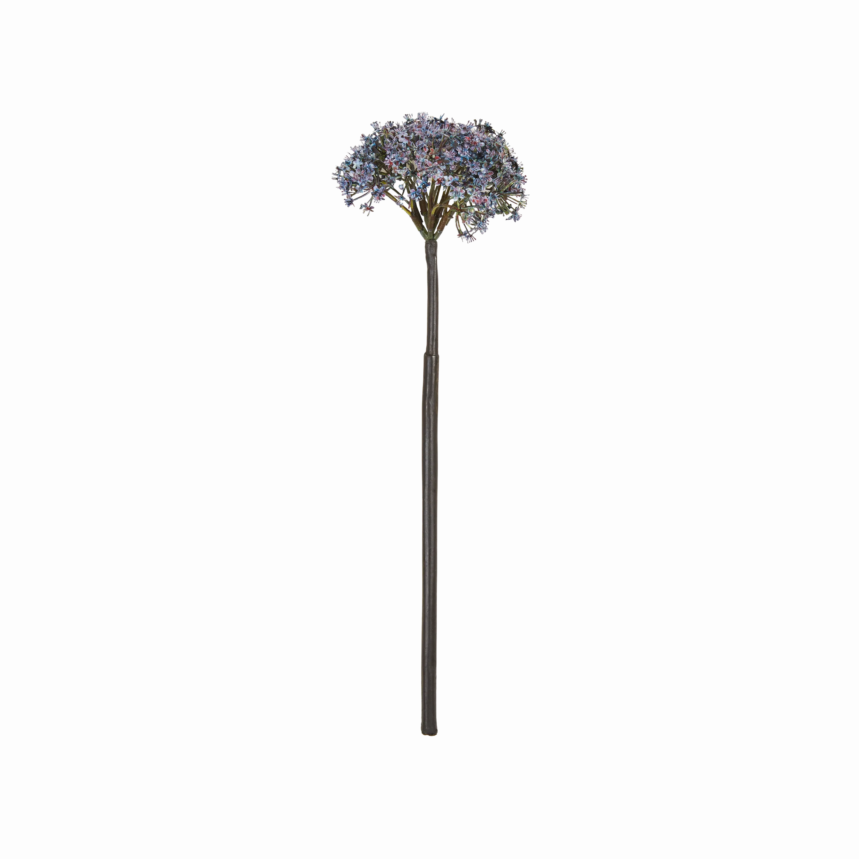 Trachelium Stem elegant wall decor