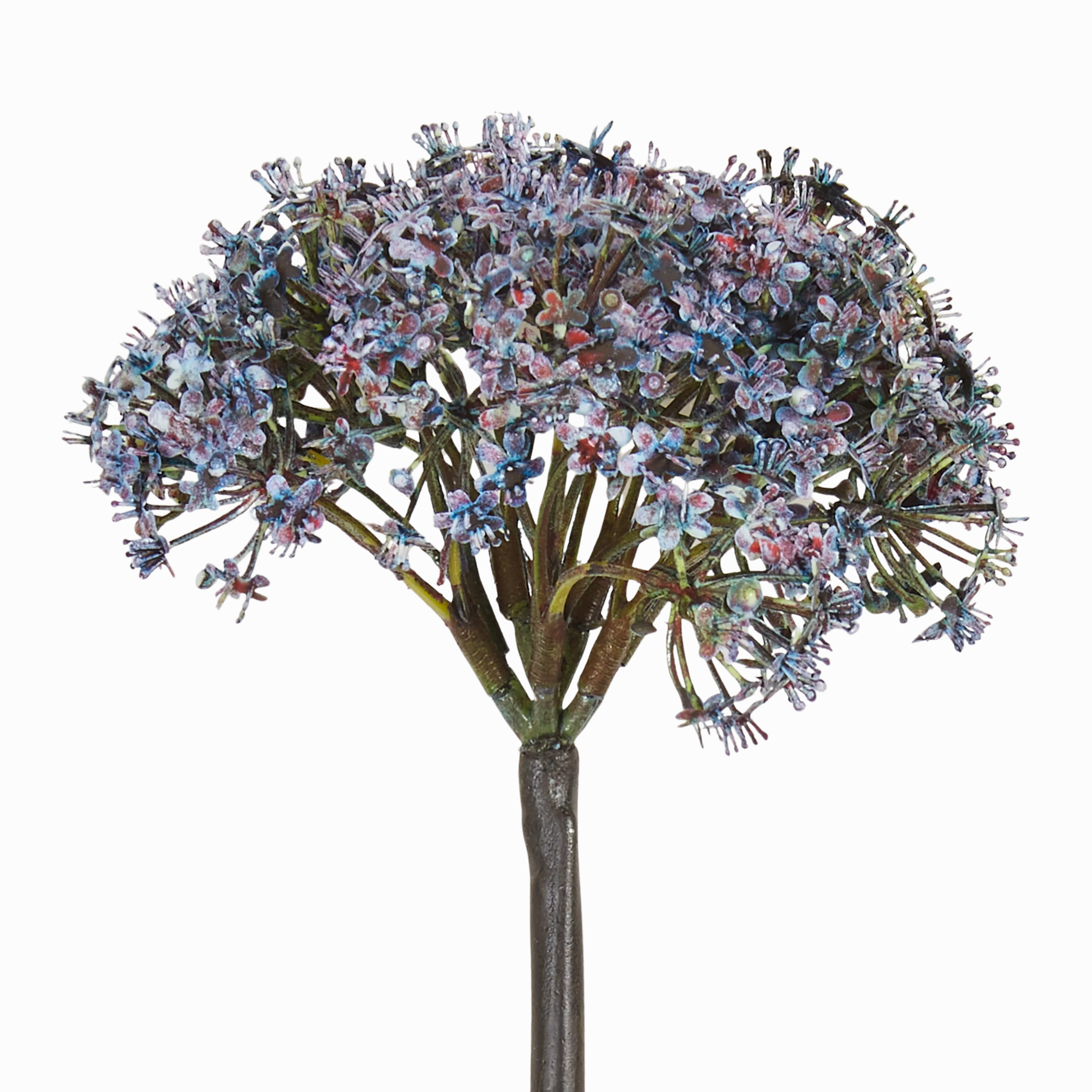 Trachelium Stem