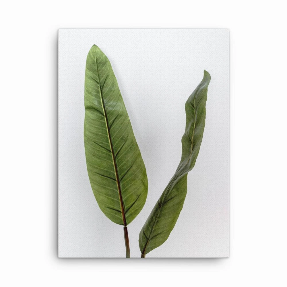 Tropical Leaves - Leinwand canvas mural art