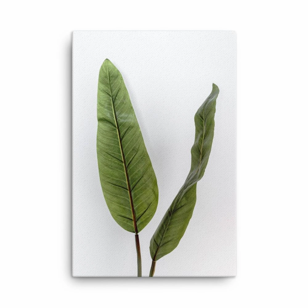Tropical Leaves - Leinwand