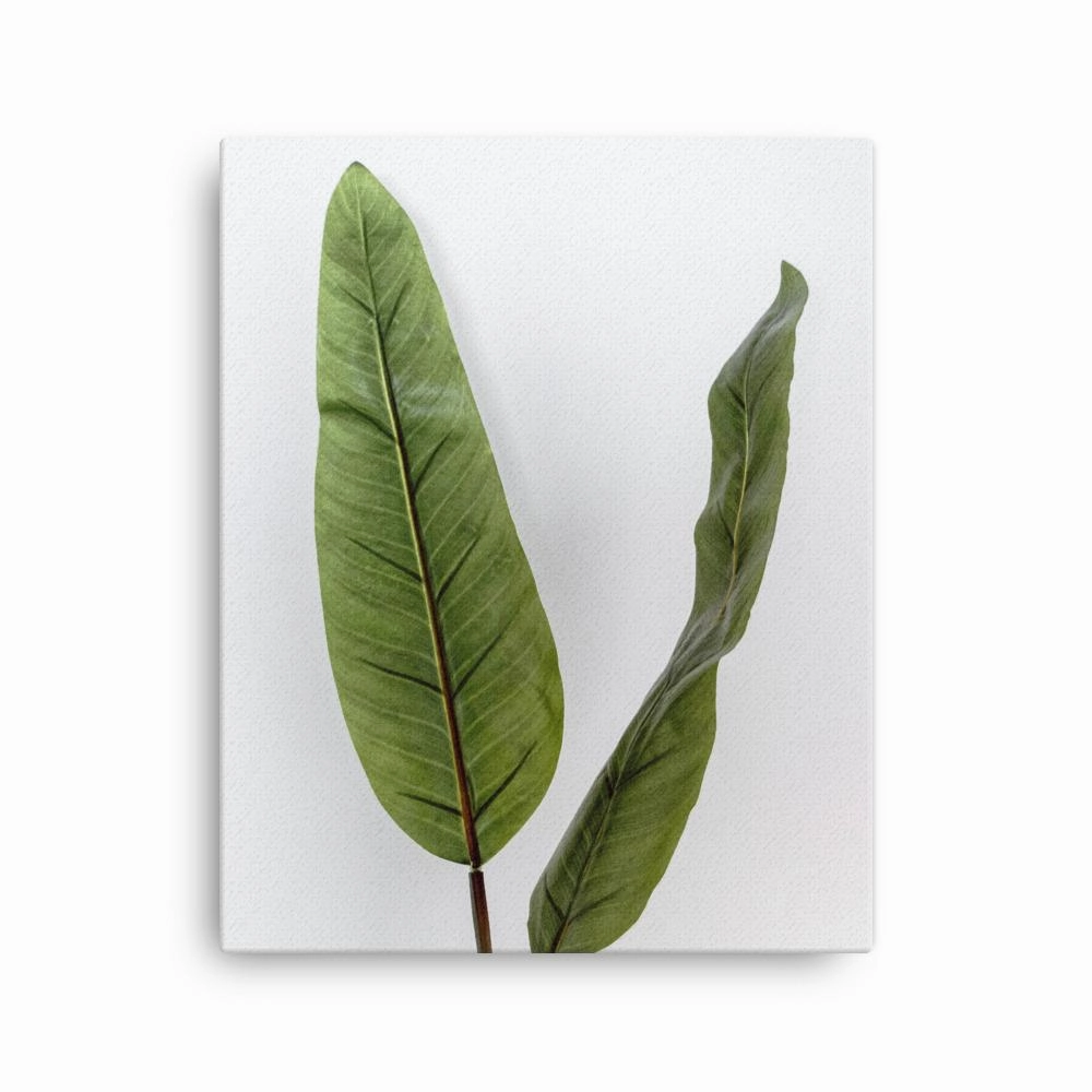 Tropical Leaves - Leinwand