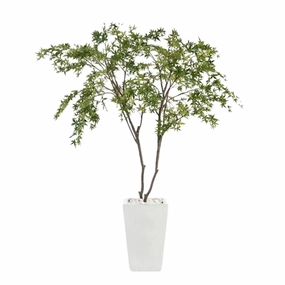 Two Maples in a White Glazed Pottery Pot home display ornament