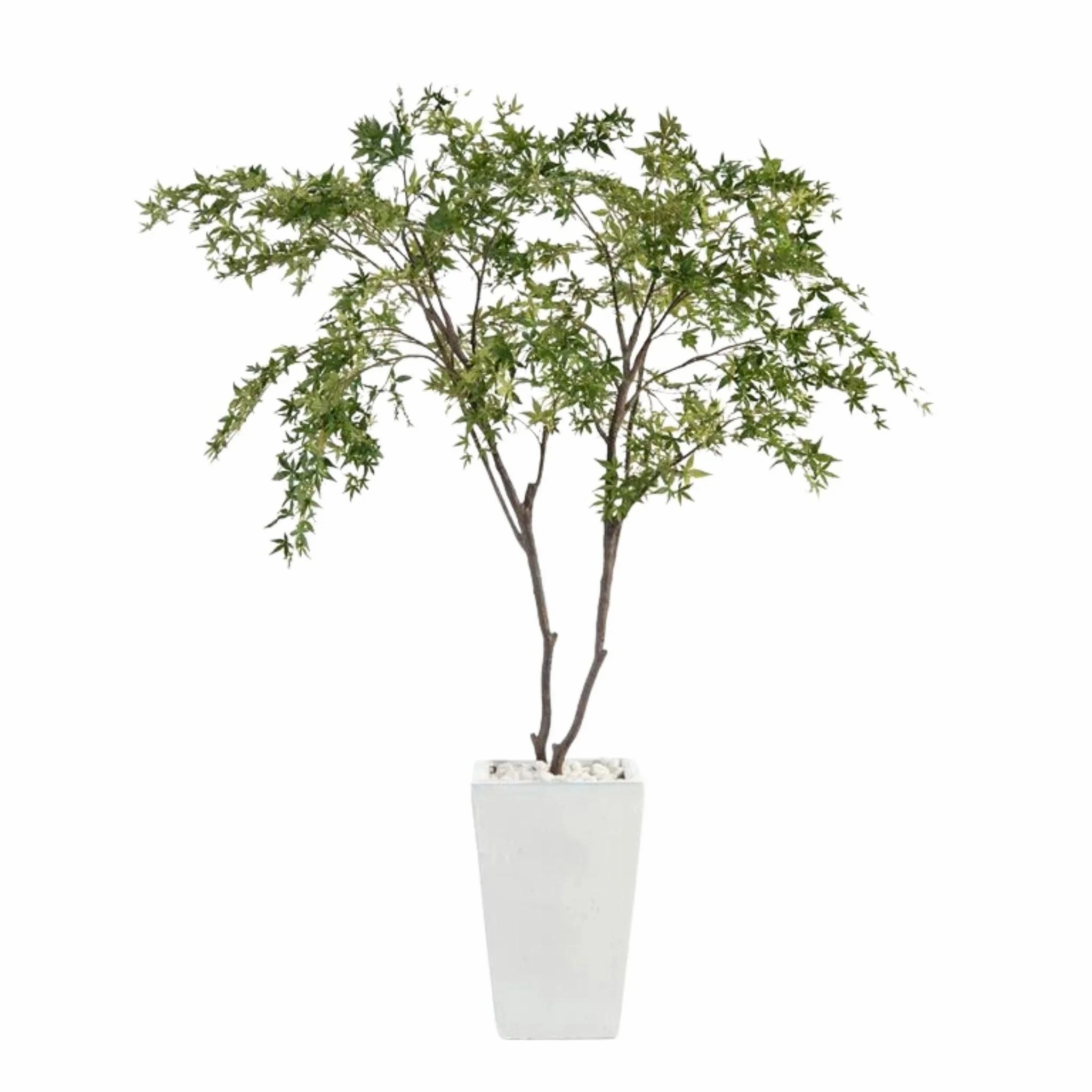 Two Maples in a White Glazed Pottery Pot home display ornament