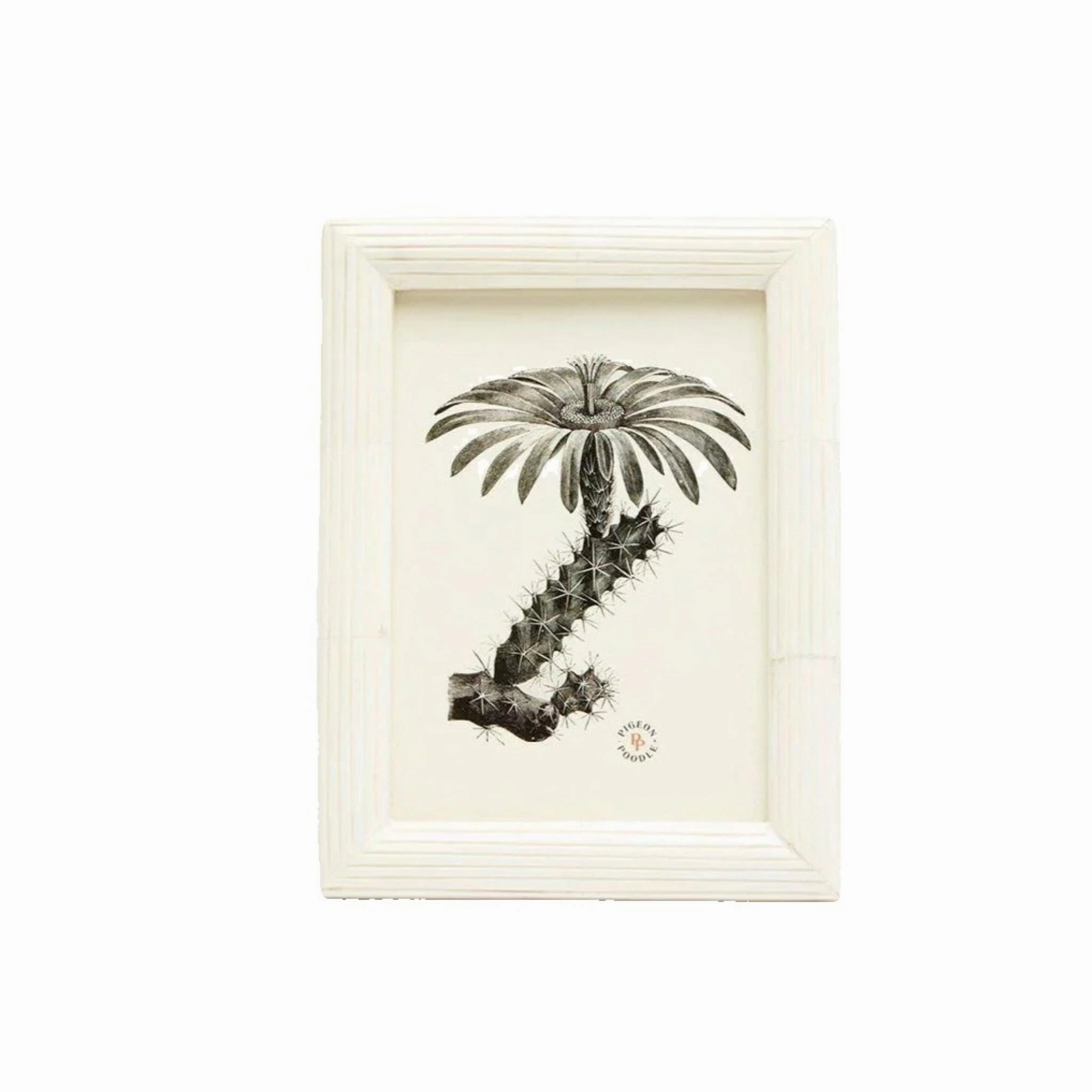 Velden Bone Picture Frame in Three Different Sizes