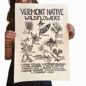 Vermont Native Wildflowers Linocut Print framed wall decor