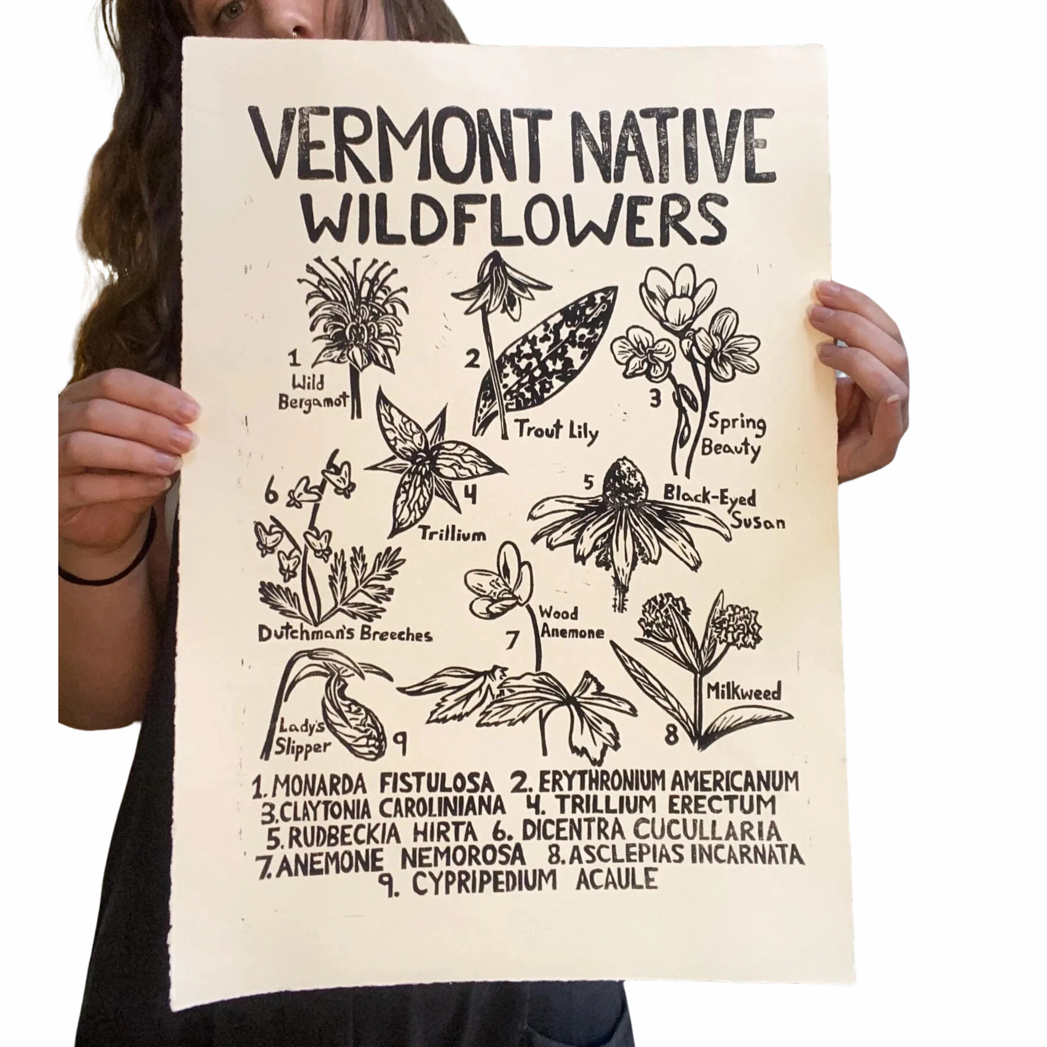 Vermont Native Wildflowers Linocut Print framed wall decor