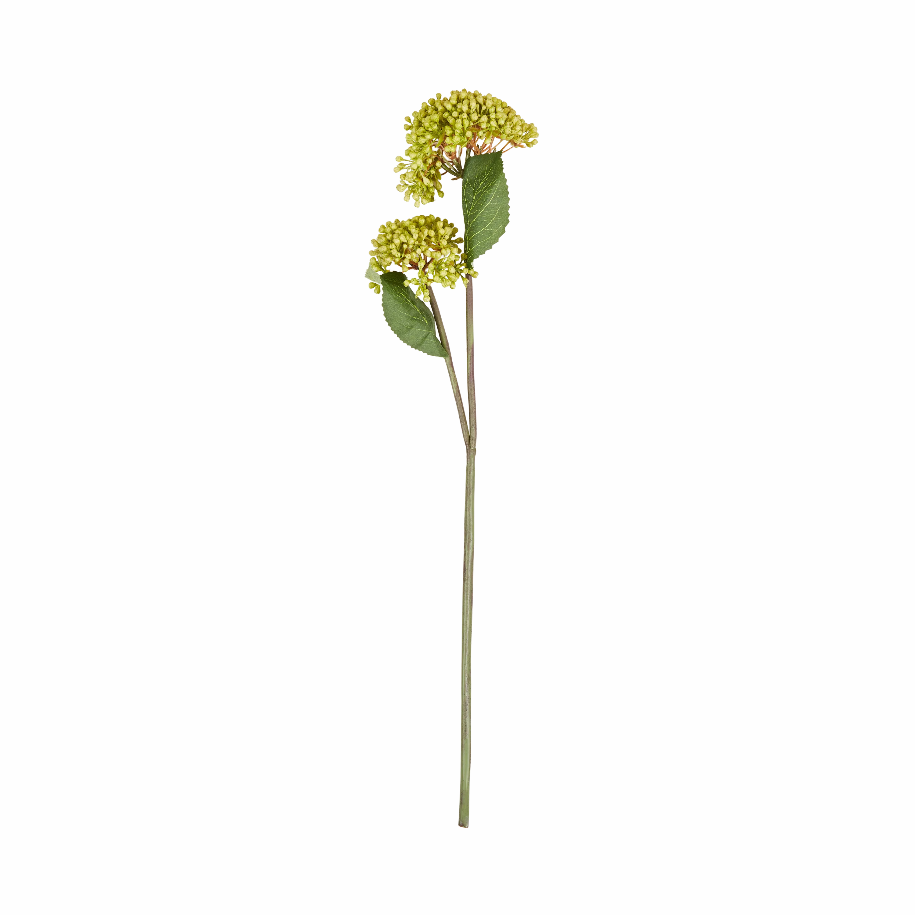 Viburnum Stem elegant wall decor