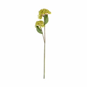 Viburnum Stem elegant wall decor