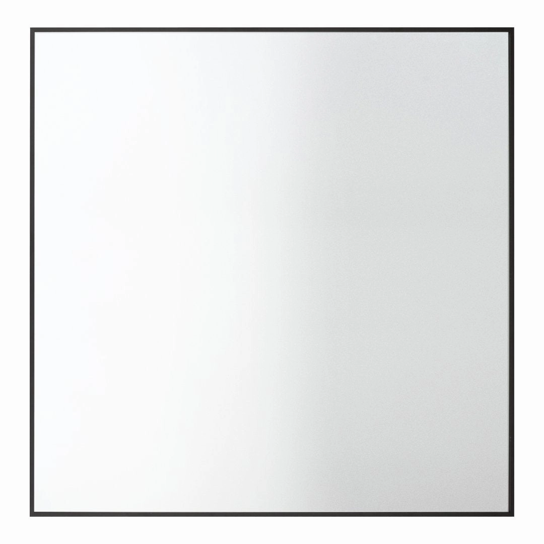 View Mirror