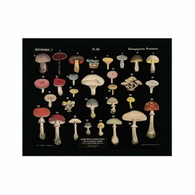 Vintage Black Mushroom Print 26 framed wall decor