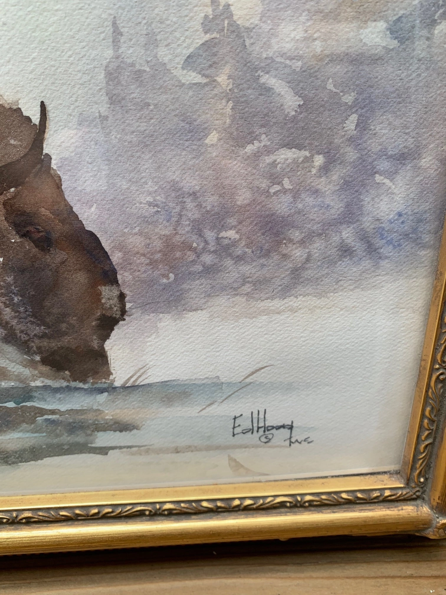 WATERCOLOR PAINTING OF BUFFALO BY ED HOAG