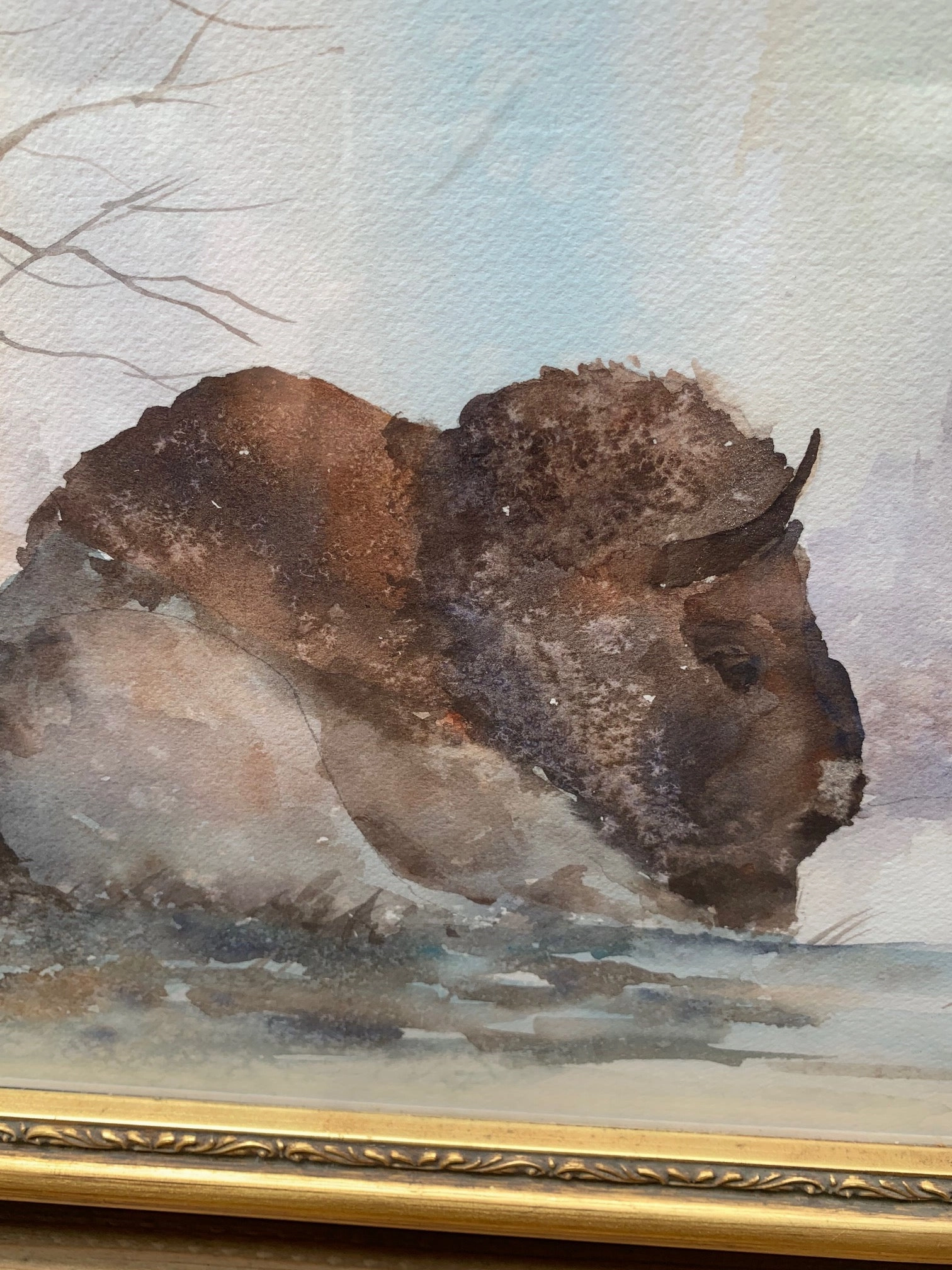 WATERCOLOR PAINTING OF BUFFALO BY ED HOAG