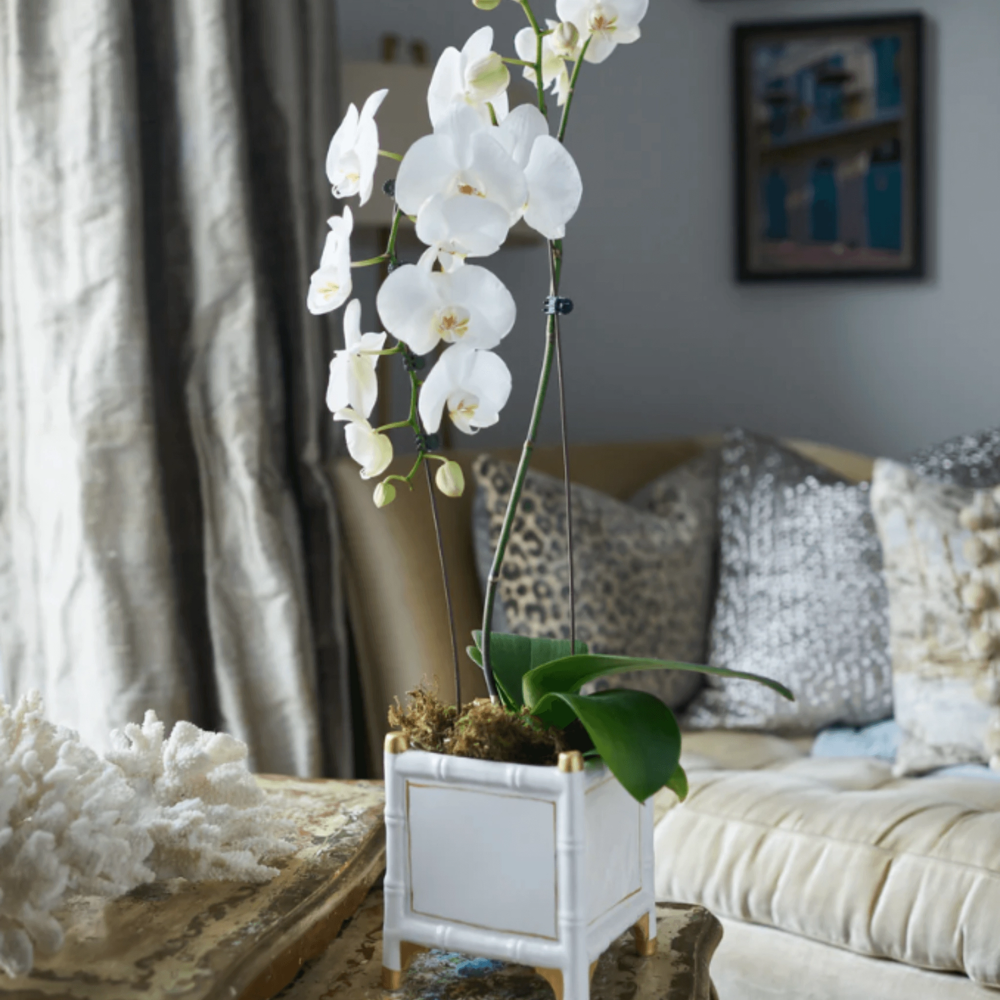 White & Gold Bamboo Inspired Cachepot - Available in Two Sizes
