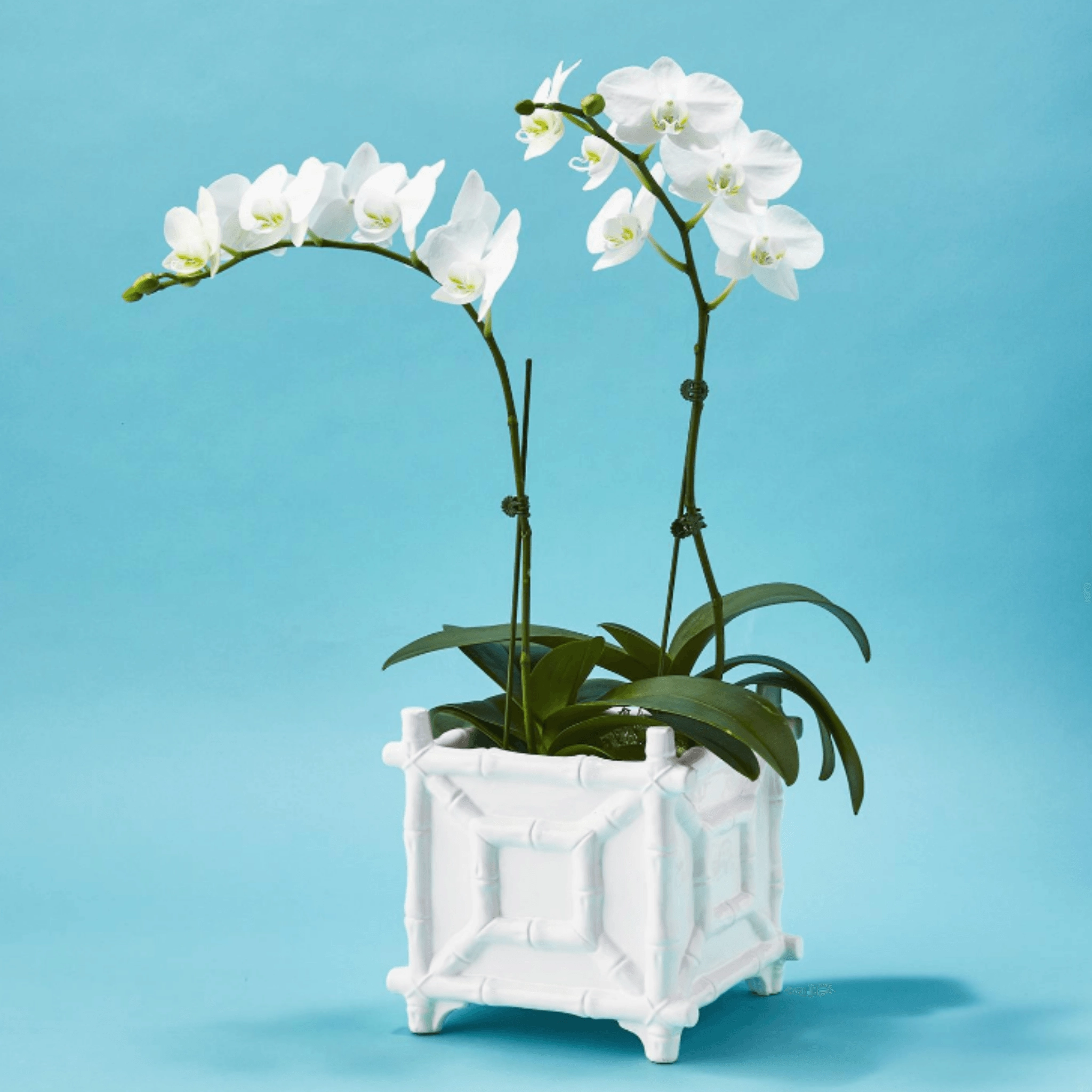 White Ceramic Faux Bamboo Fretwork Cachepot