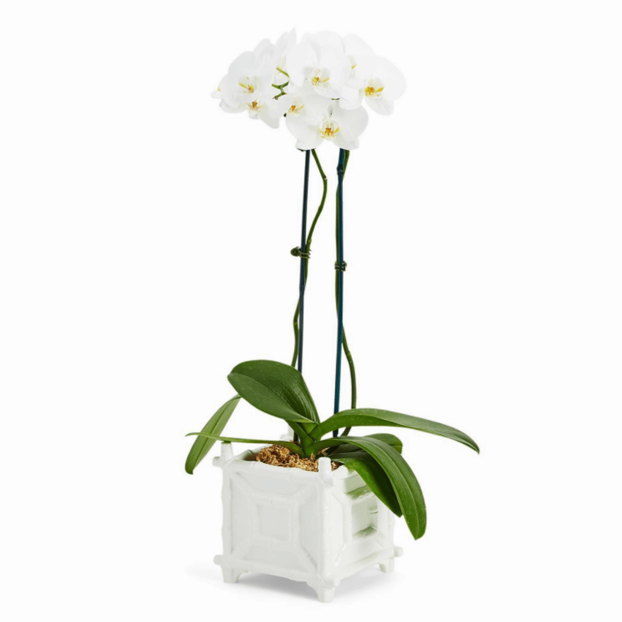 White Ceramic Faux Bamboo Fretwork Cachepot