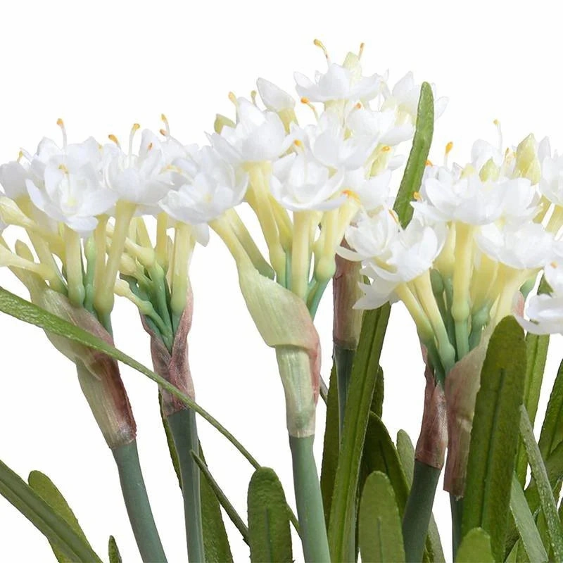 White Narcissus Arrangement in Clear Square Vase