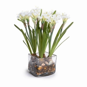 White Narcissus Arrangement in Clear Square Vase home display ornament