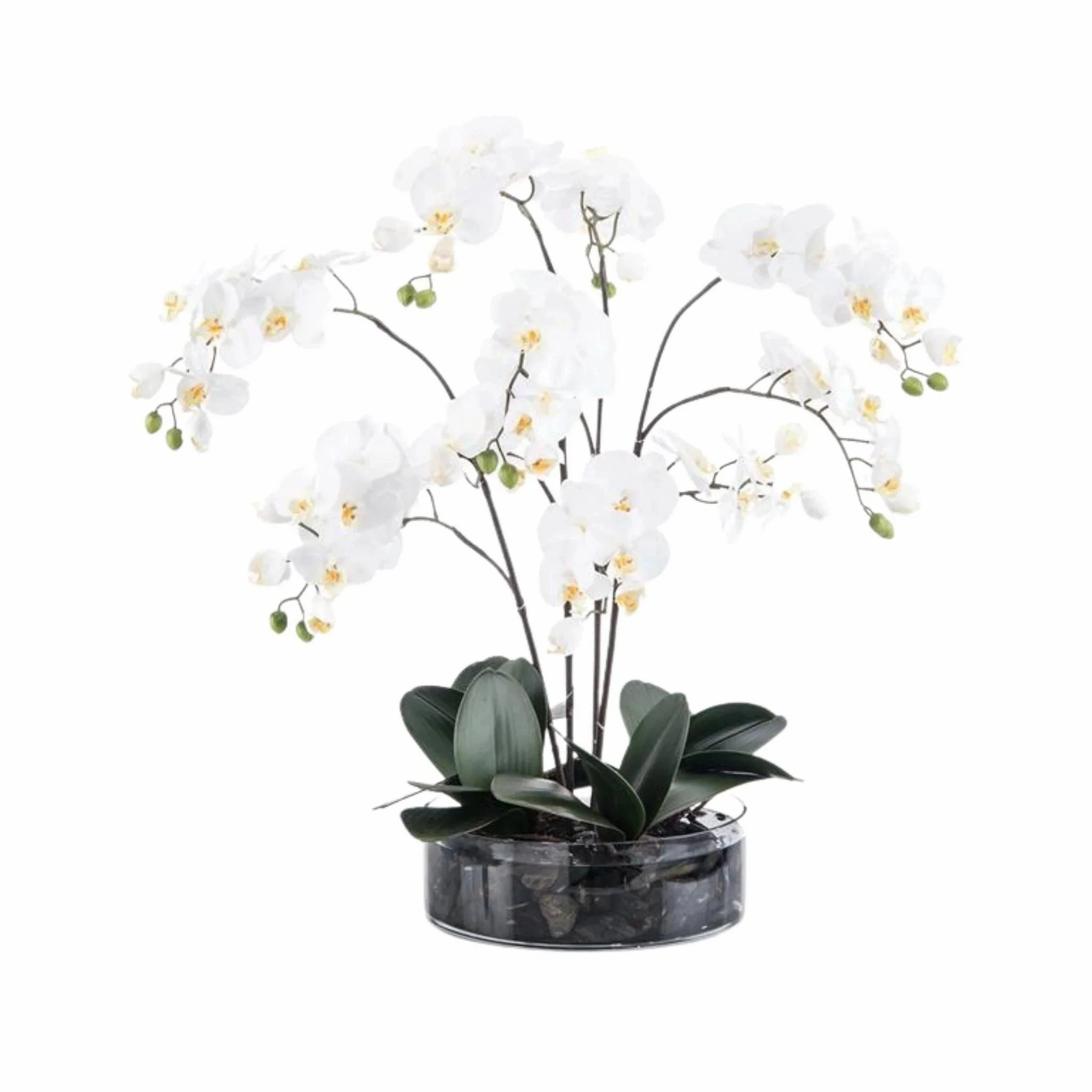 White Orchids in Low-Sided Round Vase with Black River Rock home display ornament