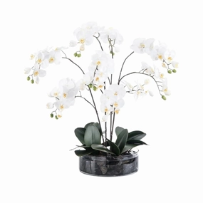 White Orchids in Low-Sided Round Vase with Black River Rock home display ornament