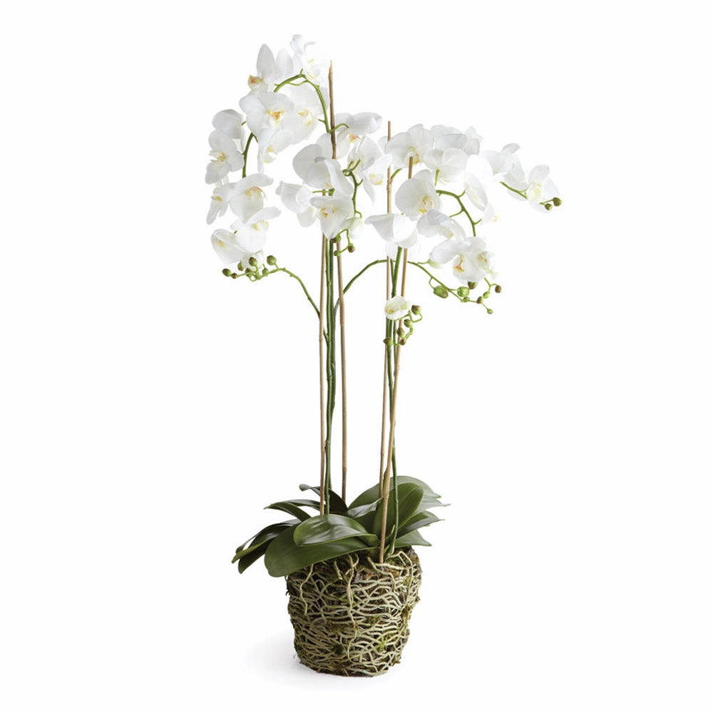 White Phalaenopsis Faux Orchid Drop-in Arrangement home display ornament