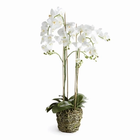 White Phalaenopsis Faux Orchid Drop-in Arrangement home display ornament