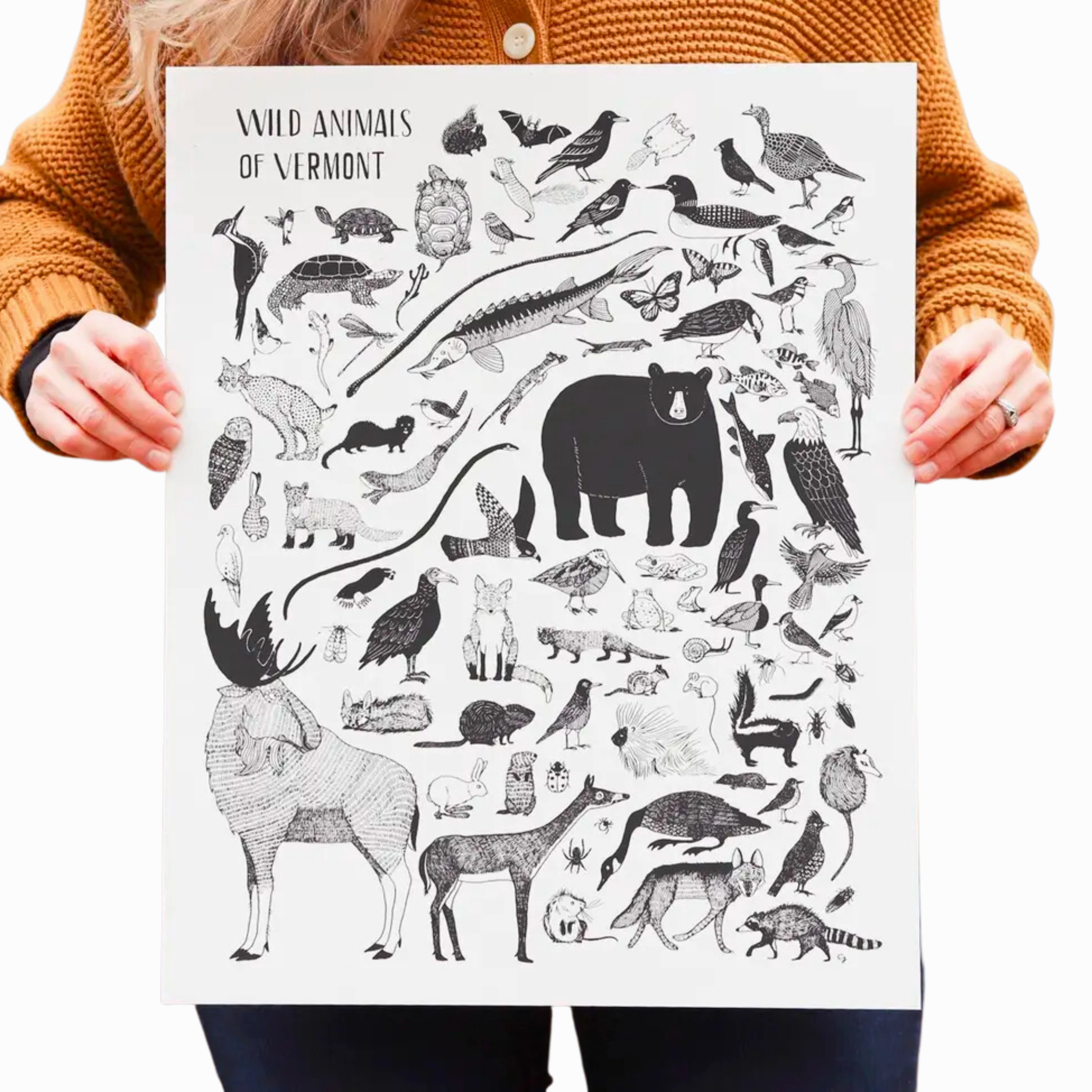 Wild Animals of Vermont Print framed wall decor