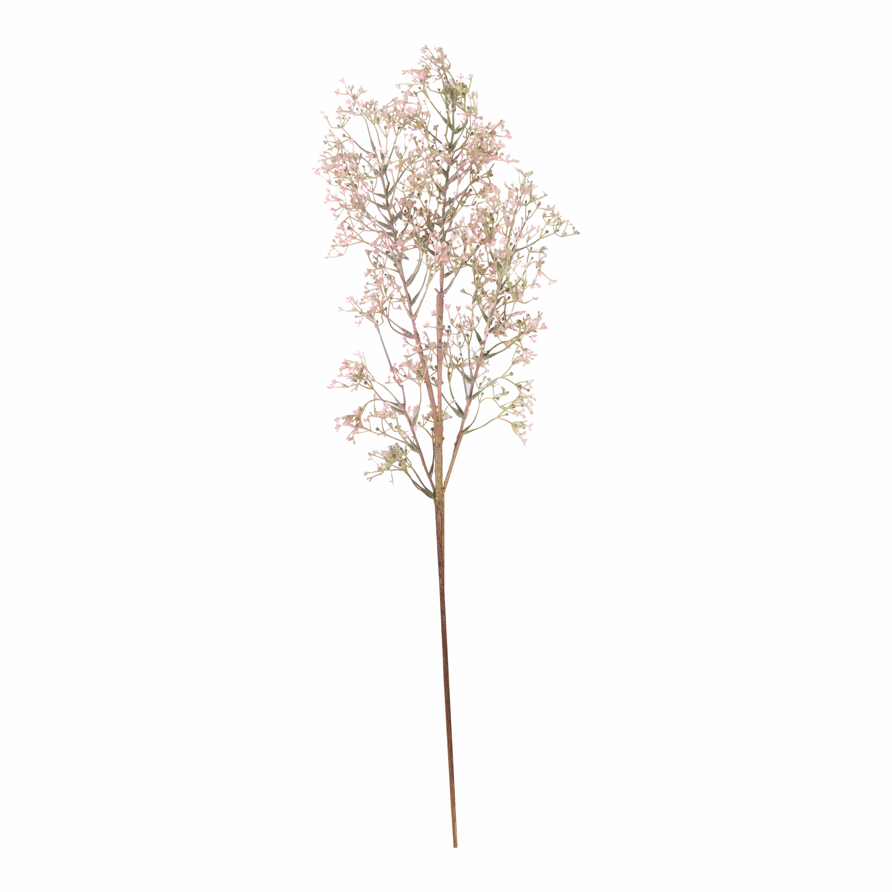 Wild Privet Stem elegant wall decor