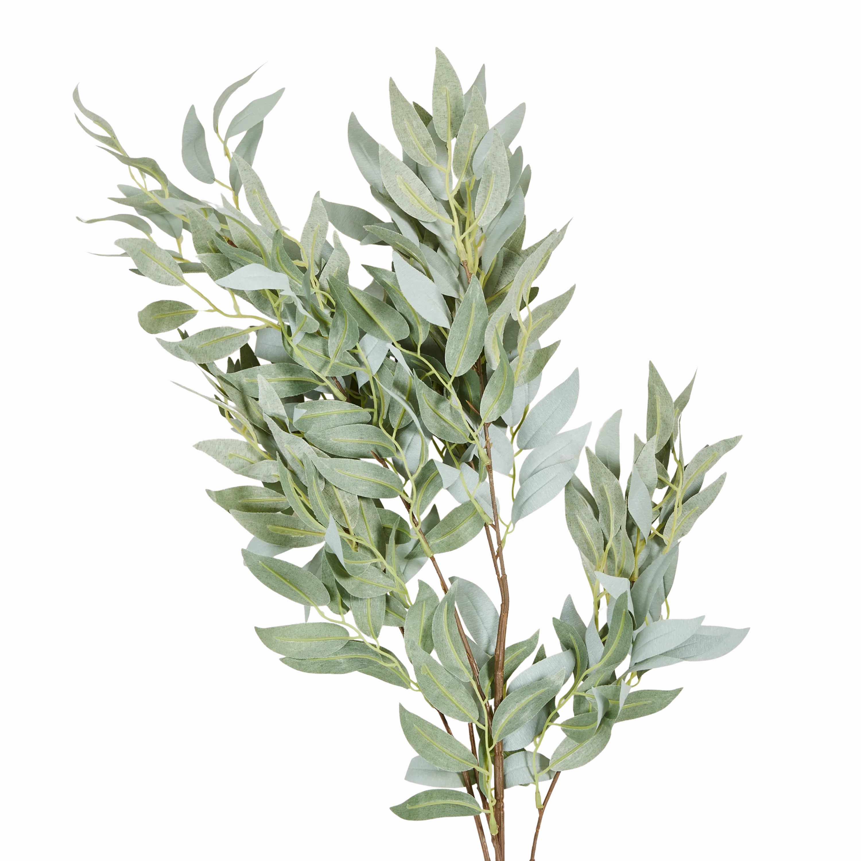 Willow Stem