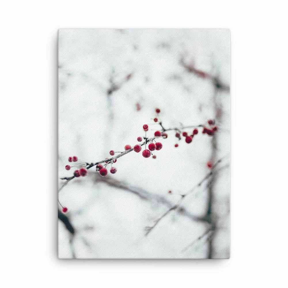 Winter berries - canvas canvas mural art