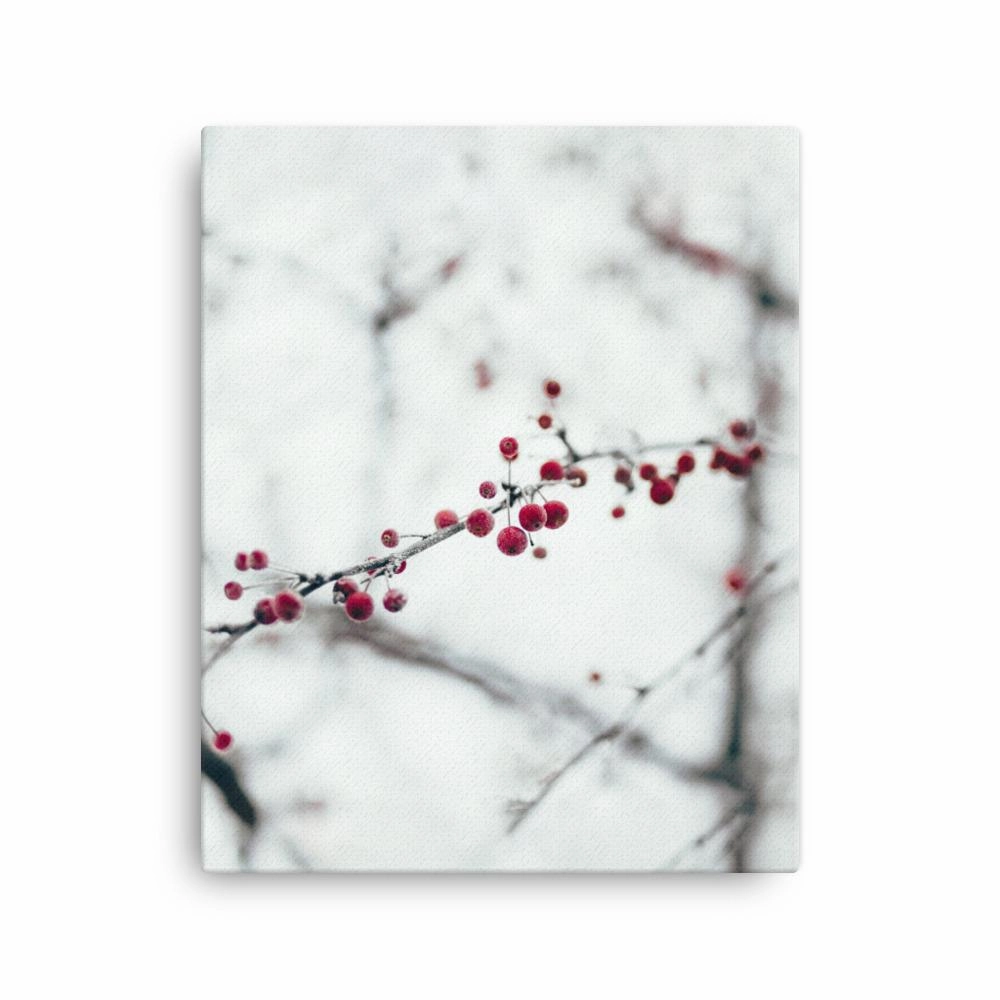 Winter berries - canvas