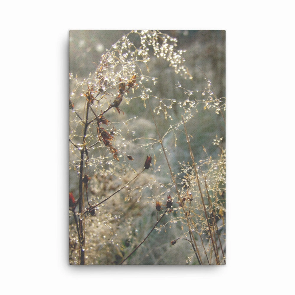 Winter Dews - canvas