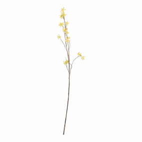 Witch Hazel Stem elegant wall decor