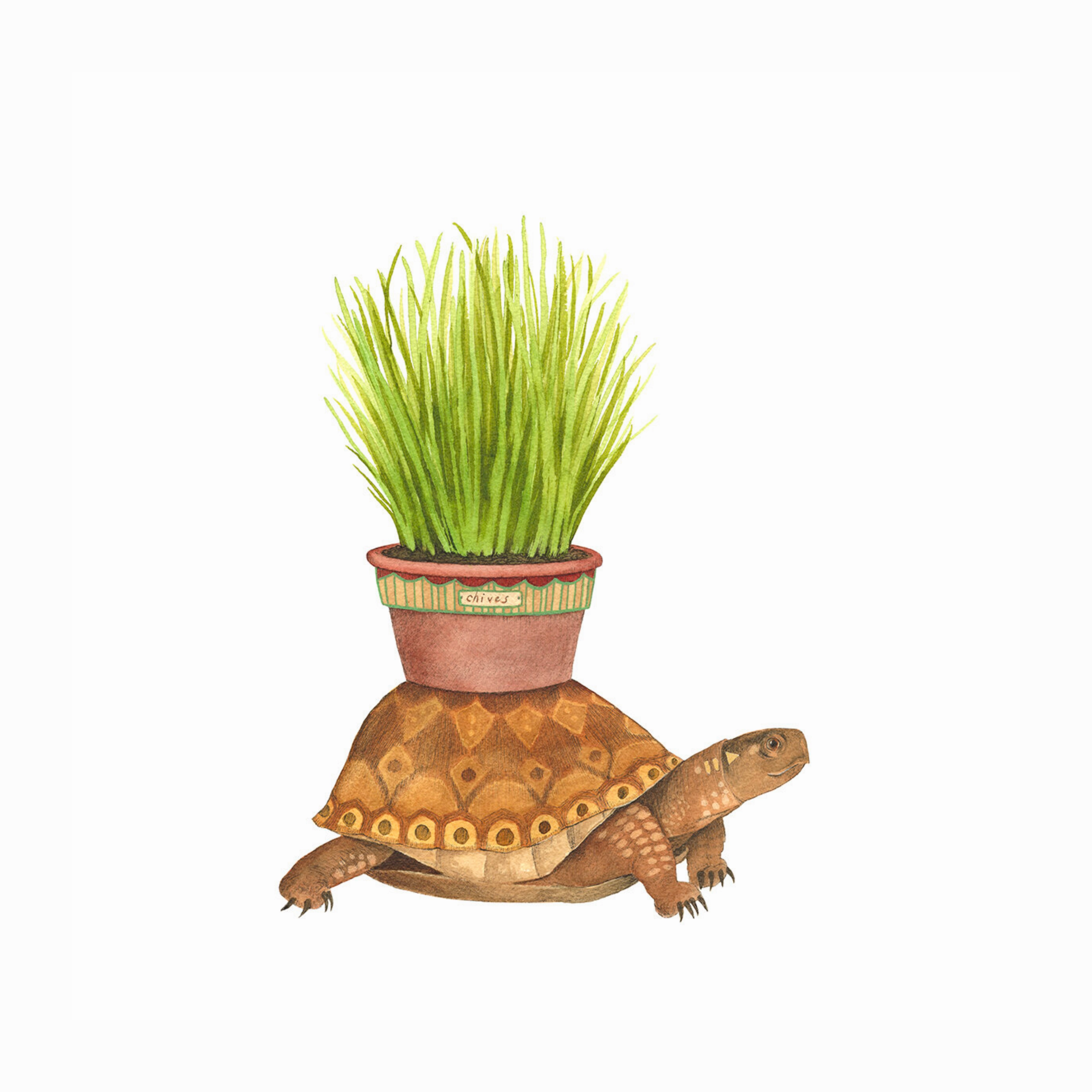 Woodland Kitchen: Rodney's Chives - Art Print framed wall decor