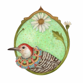 Woodpecker of Daisies Art Print framed wall decor