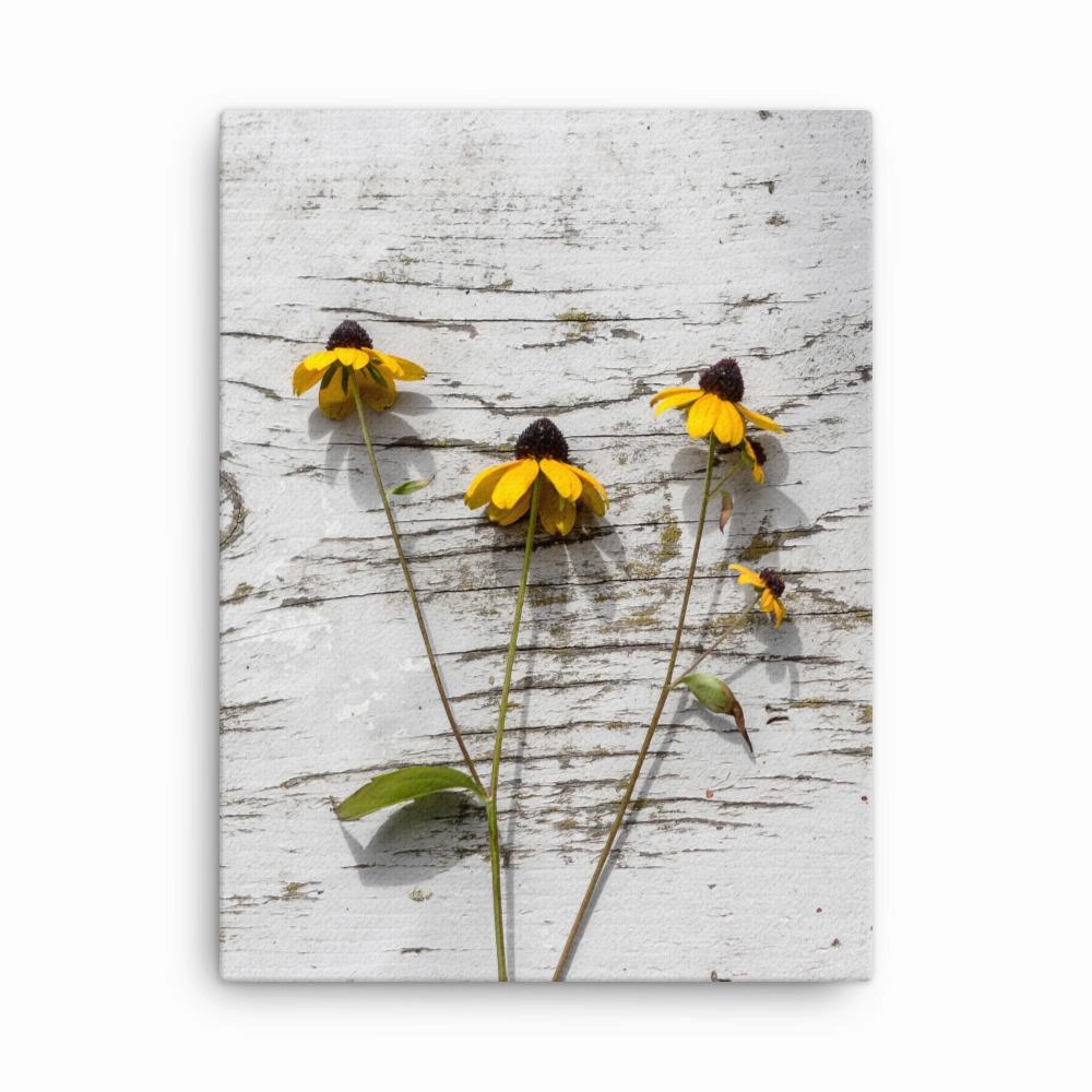 yellow flowers 7 - canvas canvas mural art