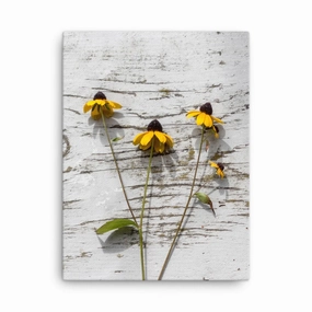 yellow flowers 7 - canvas canvas mural art