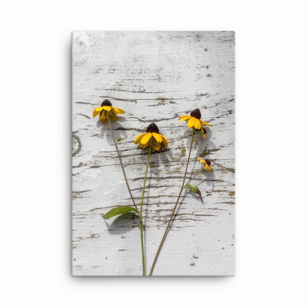 yellow flowers 7 - canvas