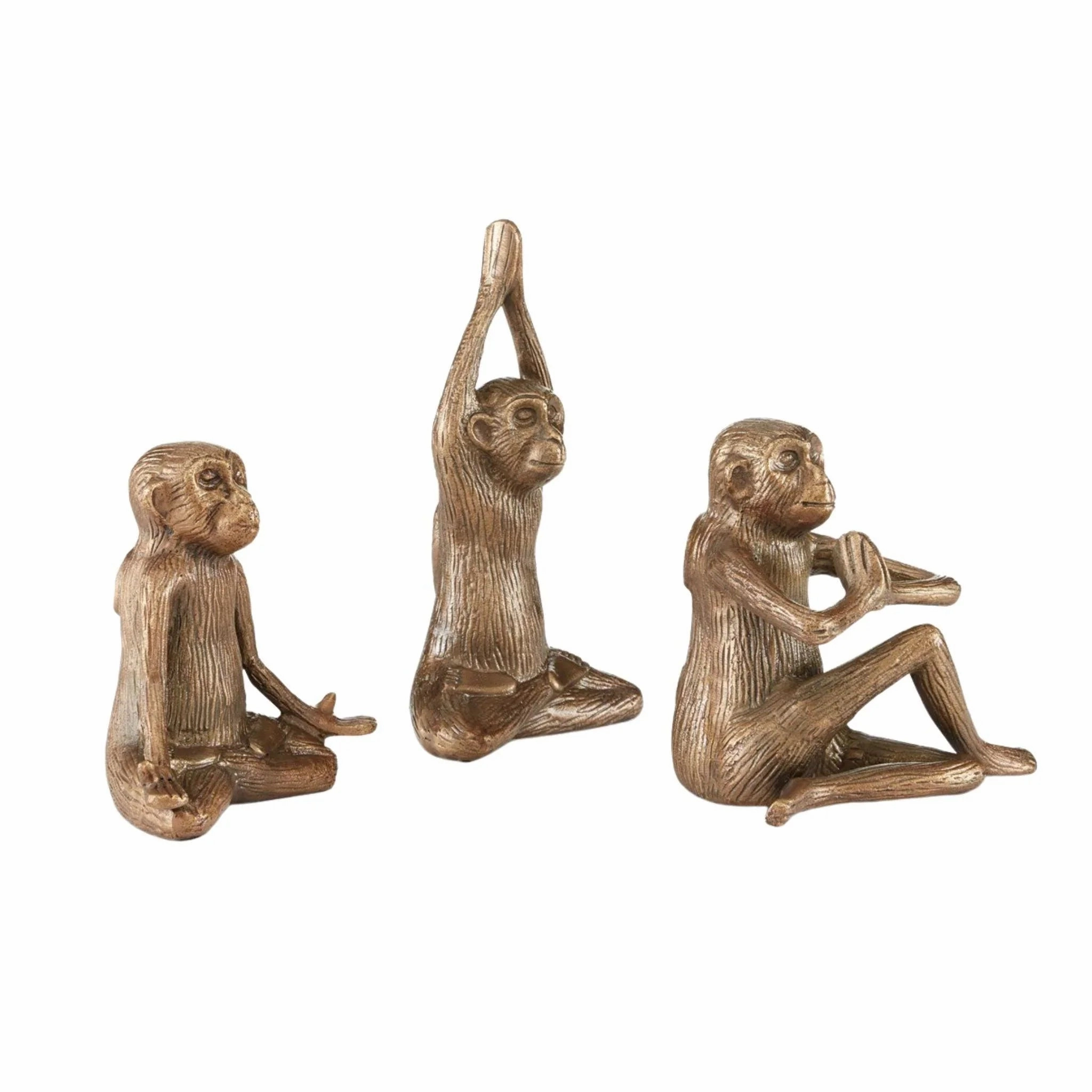 Zen Monkeys